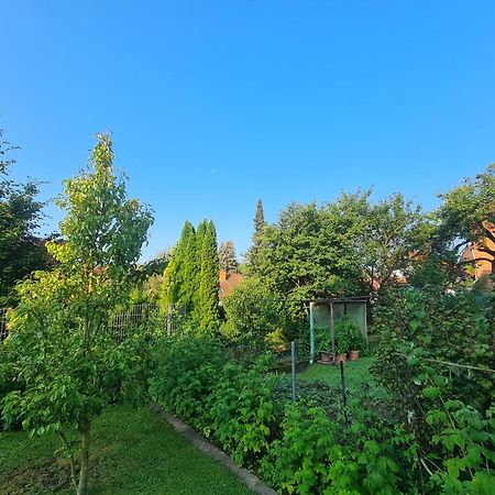 Ferienwohnung Suedharzperle Bad Lauterberg im Harz Exterior foto
