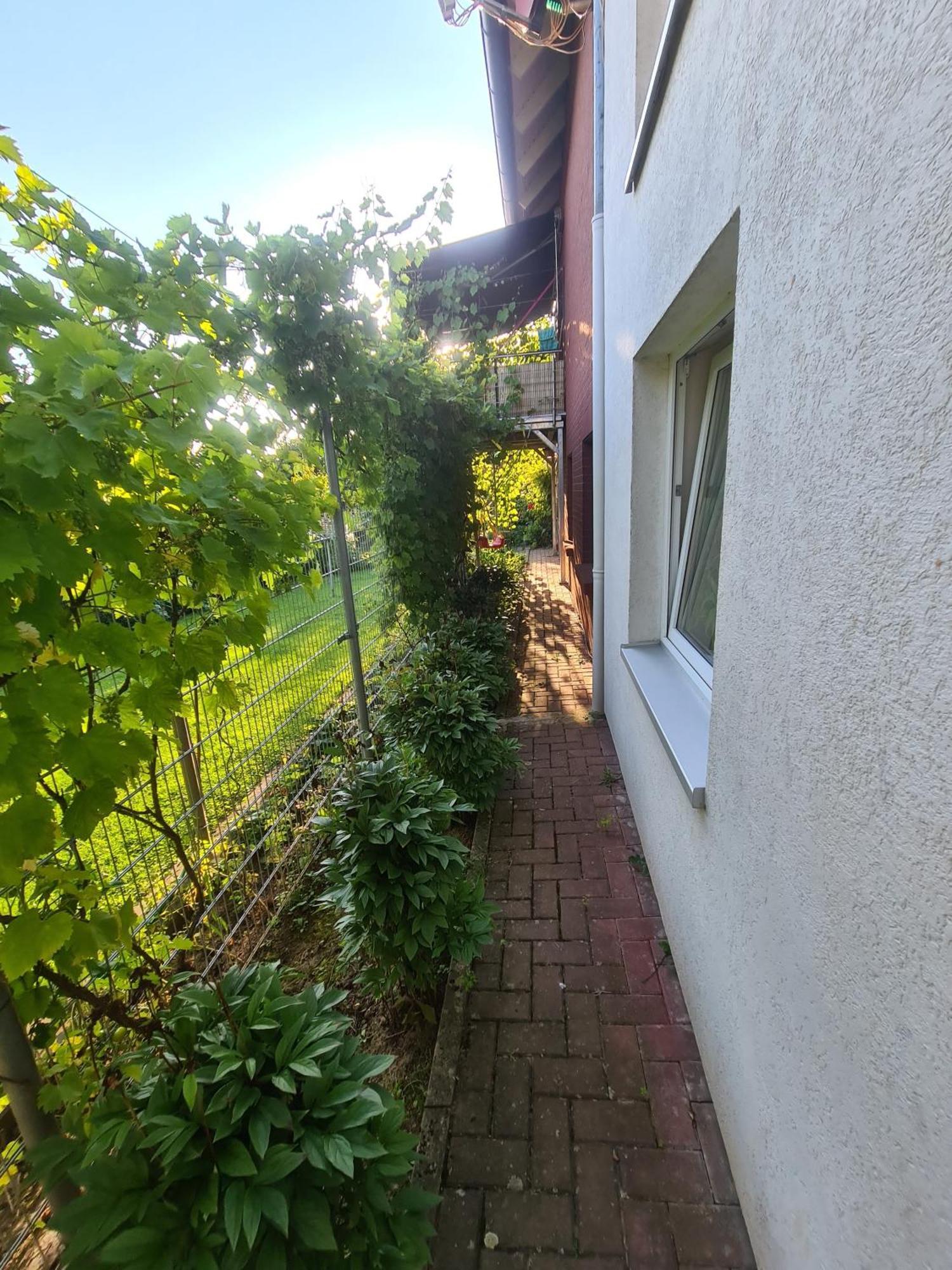 Ferienwohnung Suedharzperle Bad Lauterberg im Harz Exterior foto